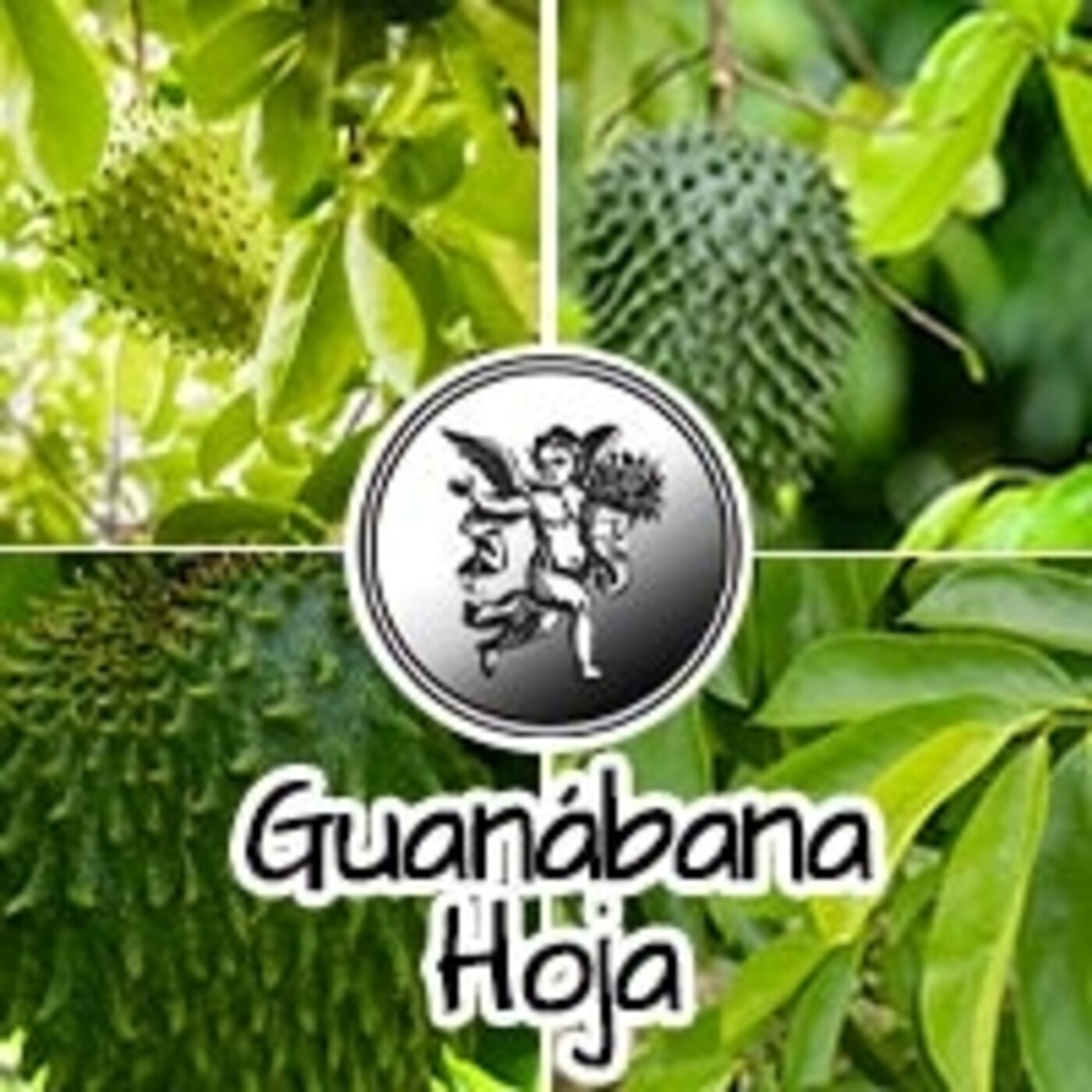 El Ángel de tu Salud - GUANÁBANA HOJA episode artwork