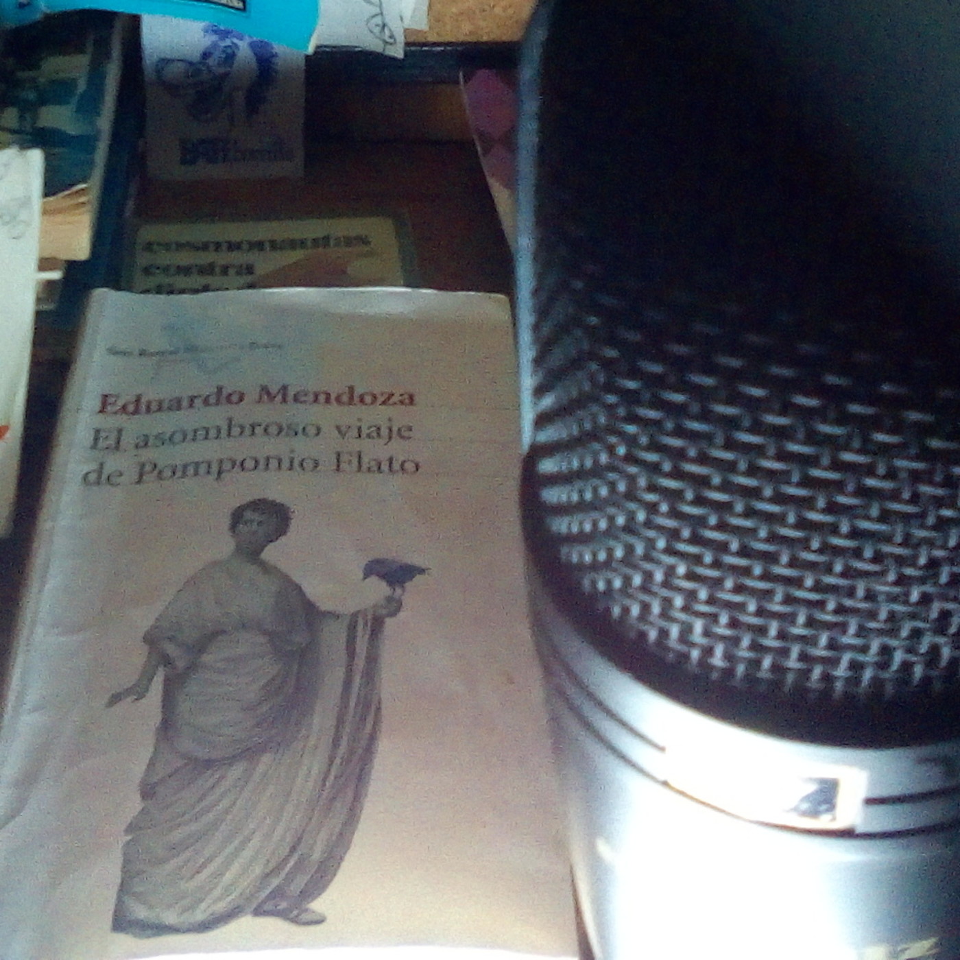 Audiolibros del Bati