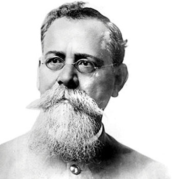 embed image