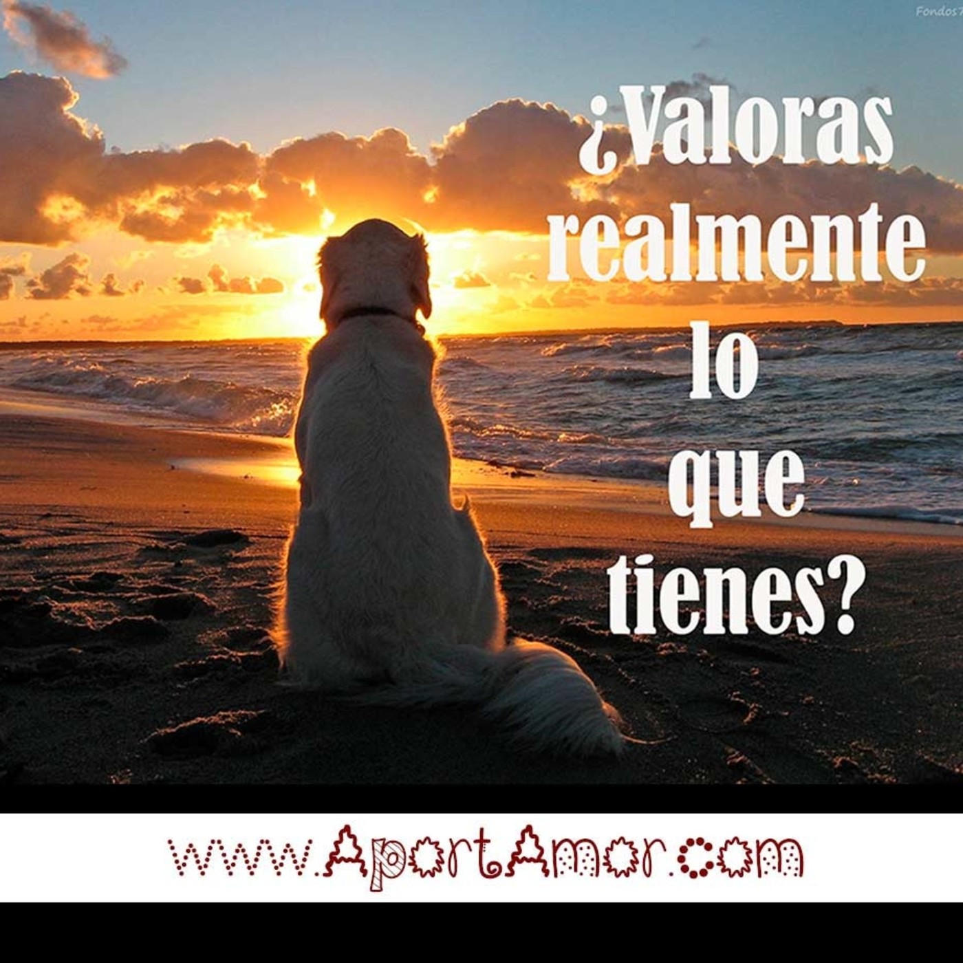 AportAmor - El Arte de AmArte