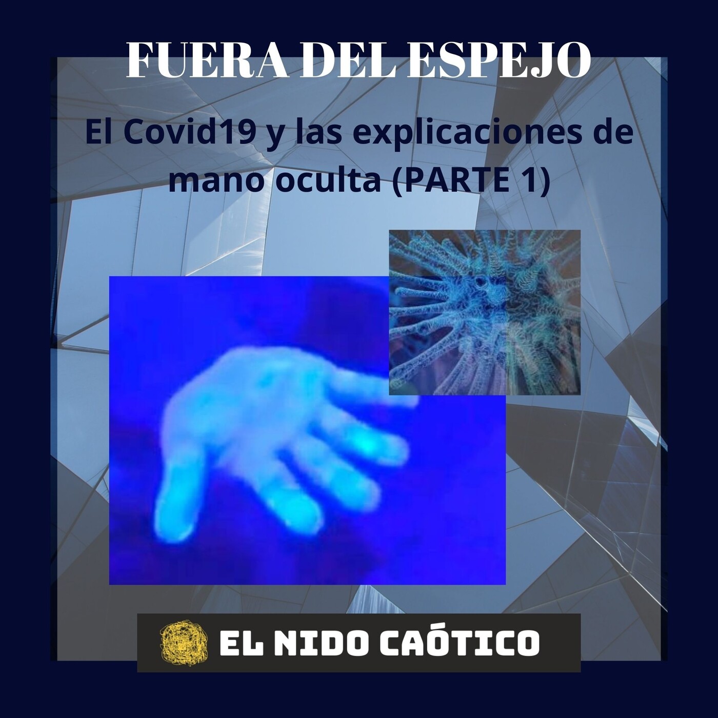 EL NIDO CAÓTICO
