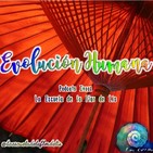 121.- Evolución Humana #14