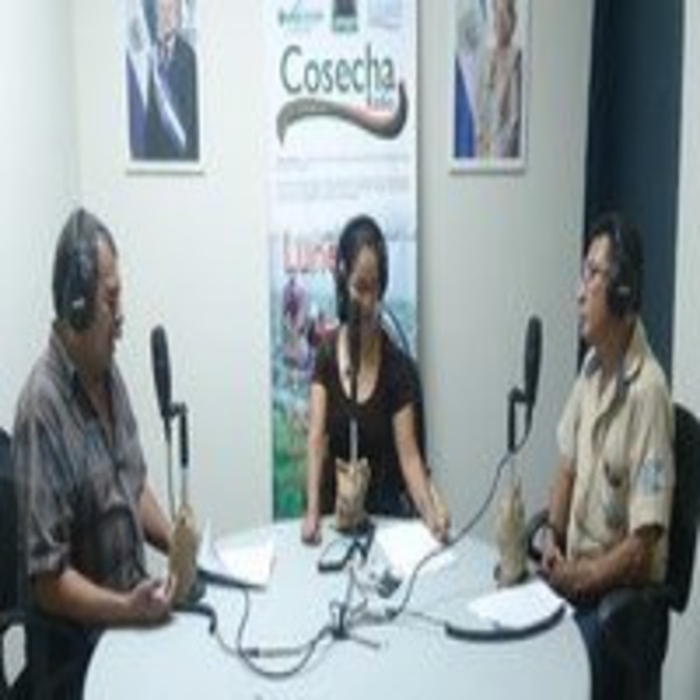 COSECHA RADIO - PODCAST