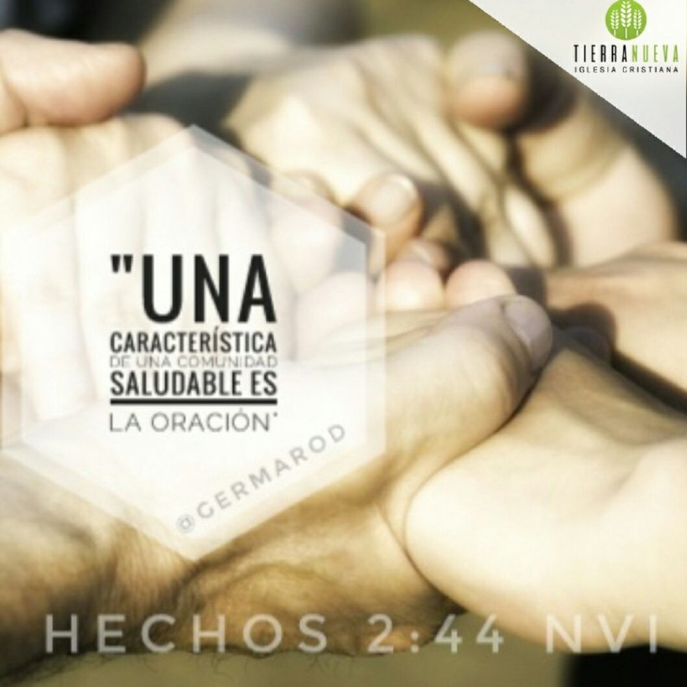 IGLESIA TIERRA NUEVA