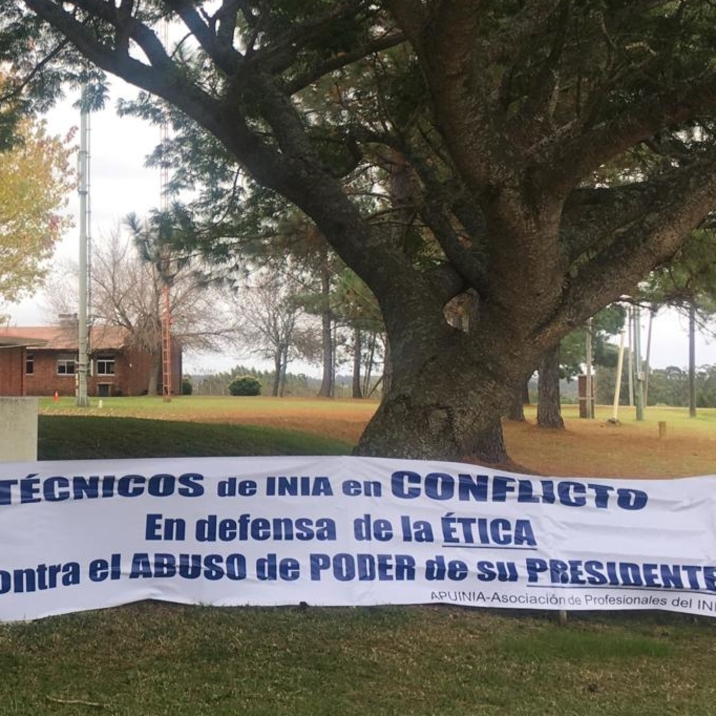 Podcast de Informe Granjero