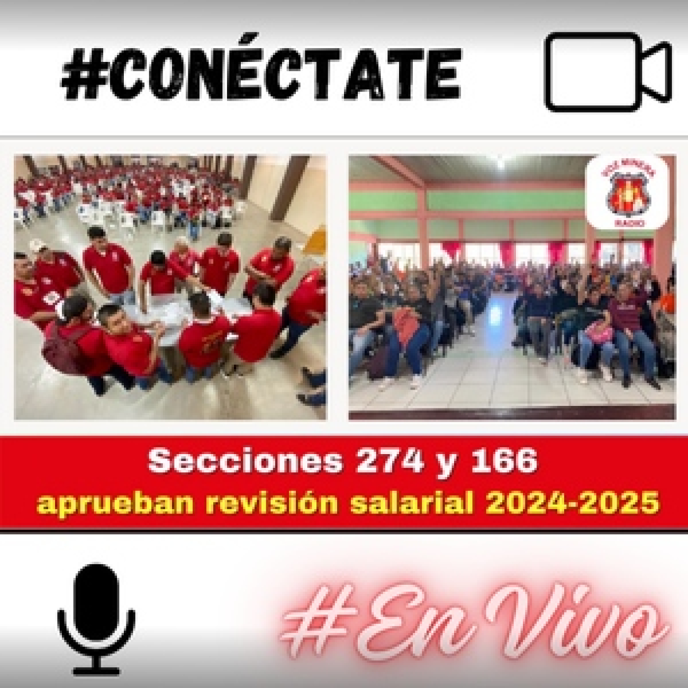 Voz Minera MX