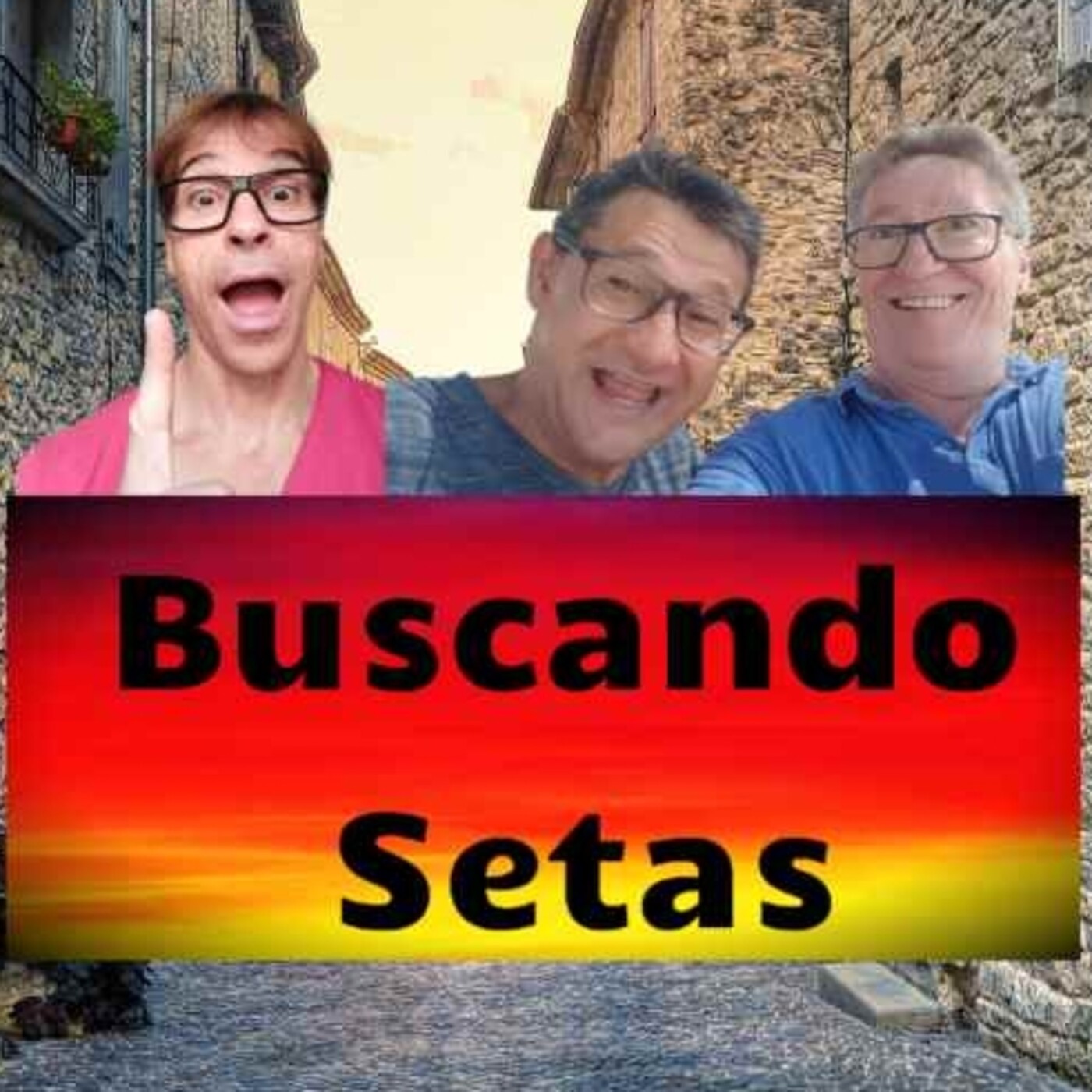 PROGRAMA BUSCANDO SETAS
