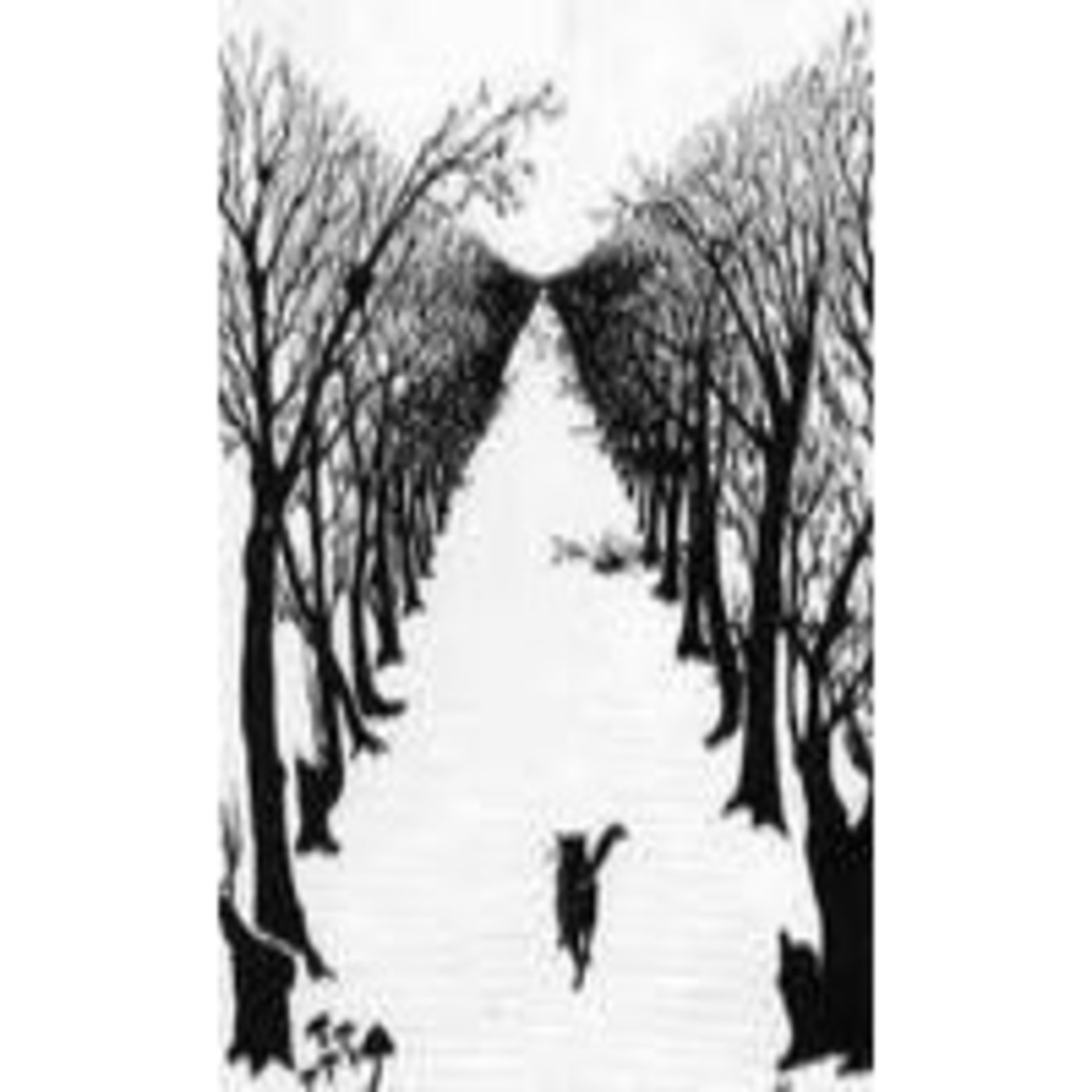 //Fanzin Photomaton Radial//