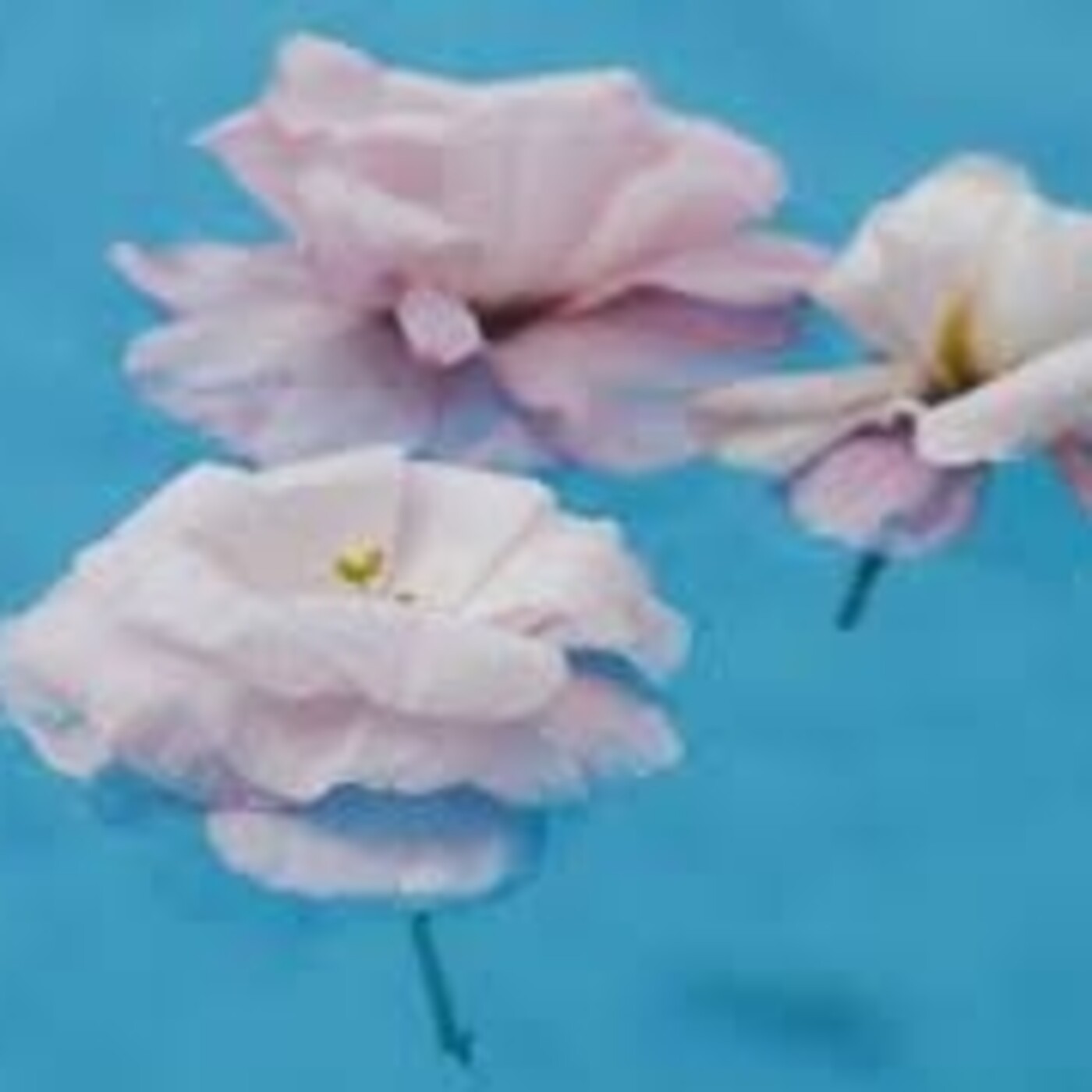 EnJoy La Vida en Rosa: CONVERSACIONES