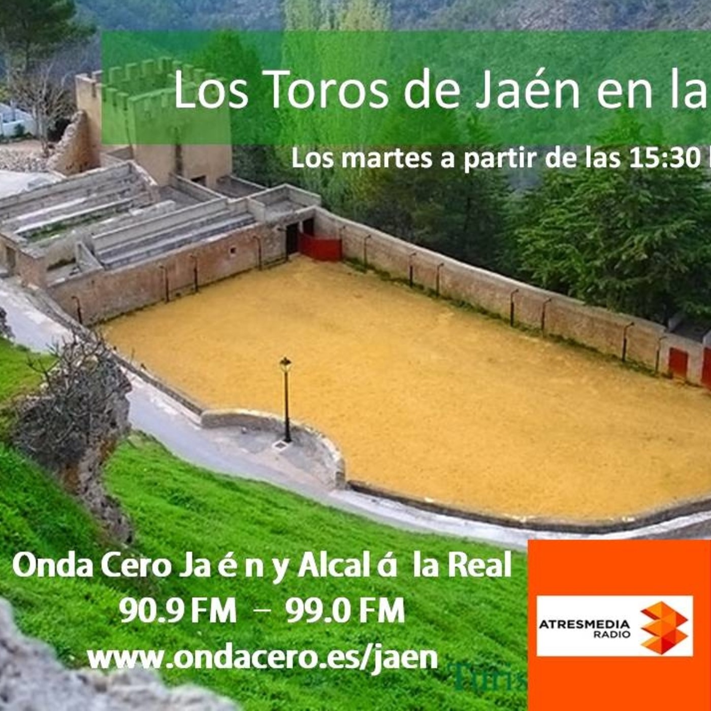 Podcast de Javier Altarejos Gallego