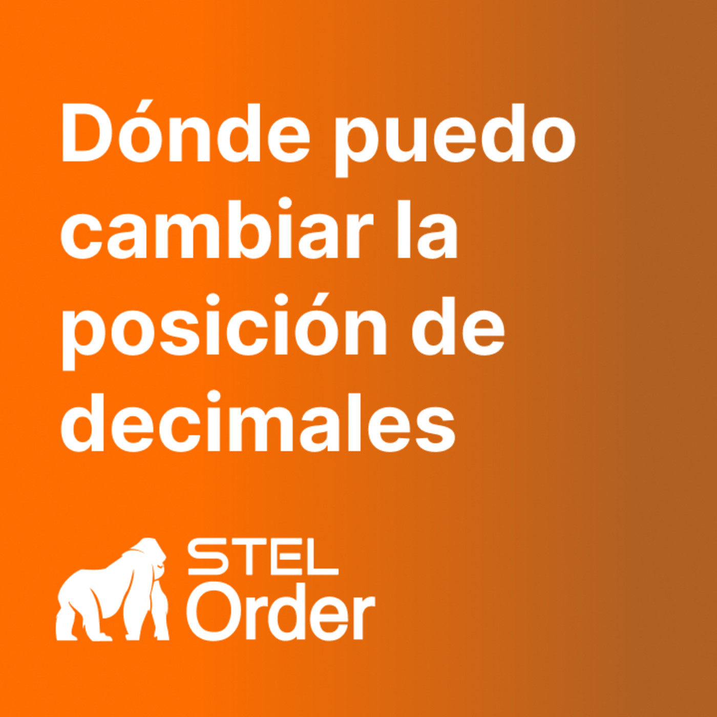 Ayuda y Soporte STEL Order