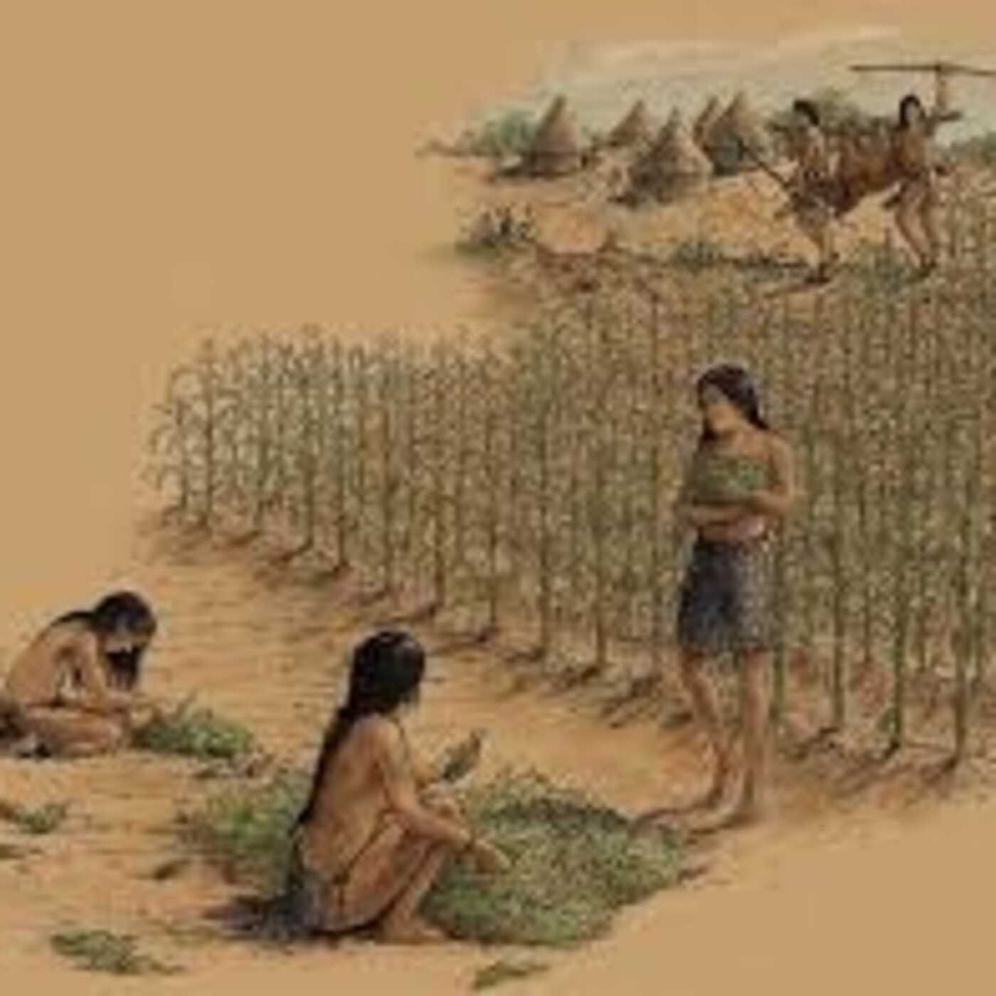 PRIMUM GRADUS (el primer paso)