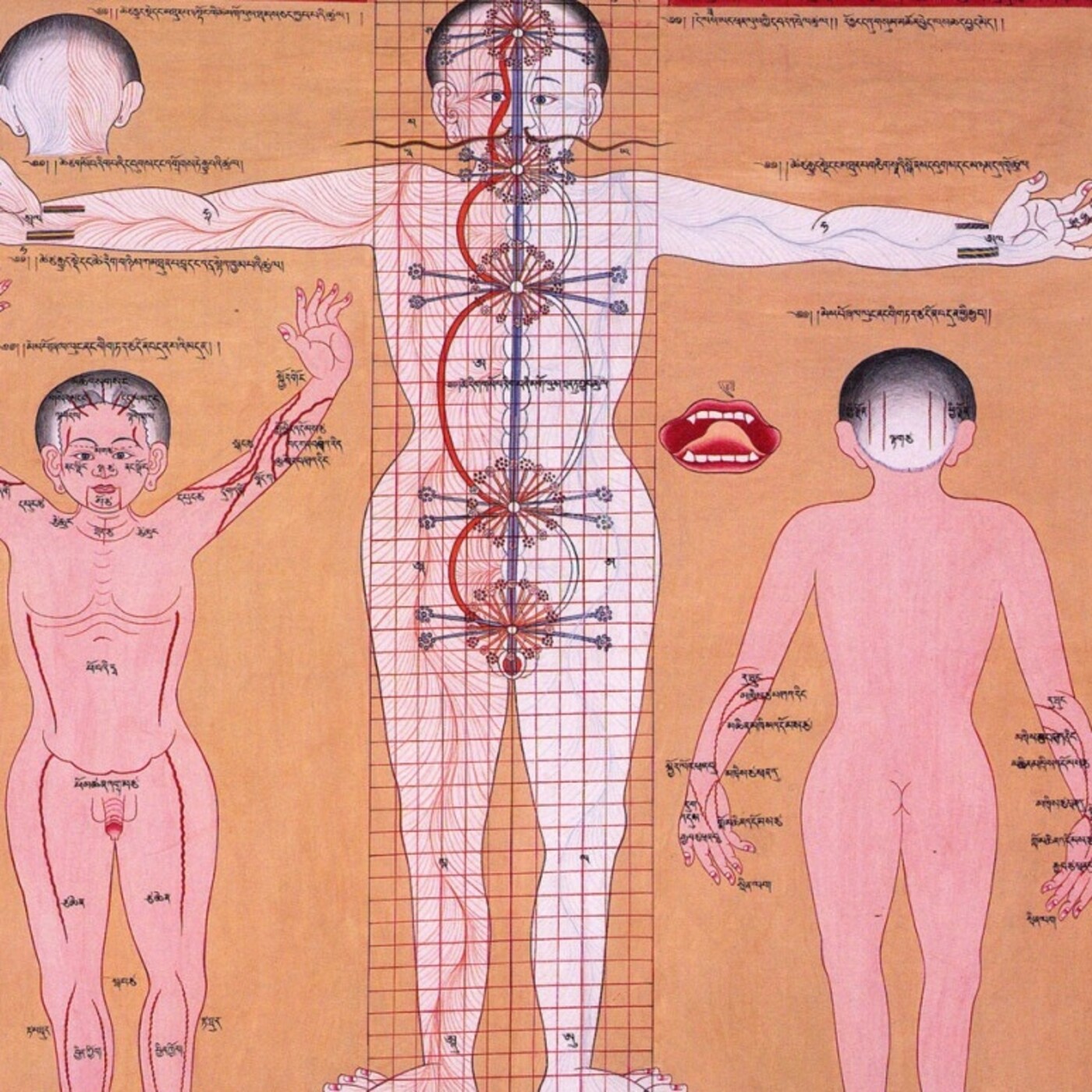 Meditacion, respiracion
