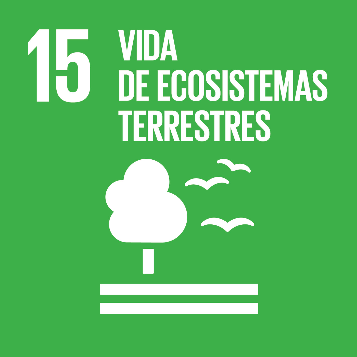 ODS nº15: Vida de ecosistemas terrestres episode artwork