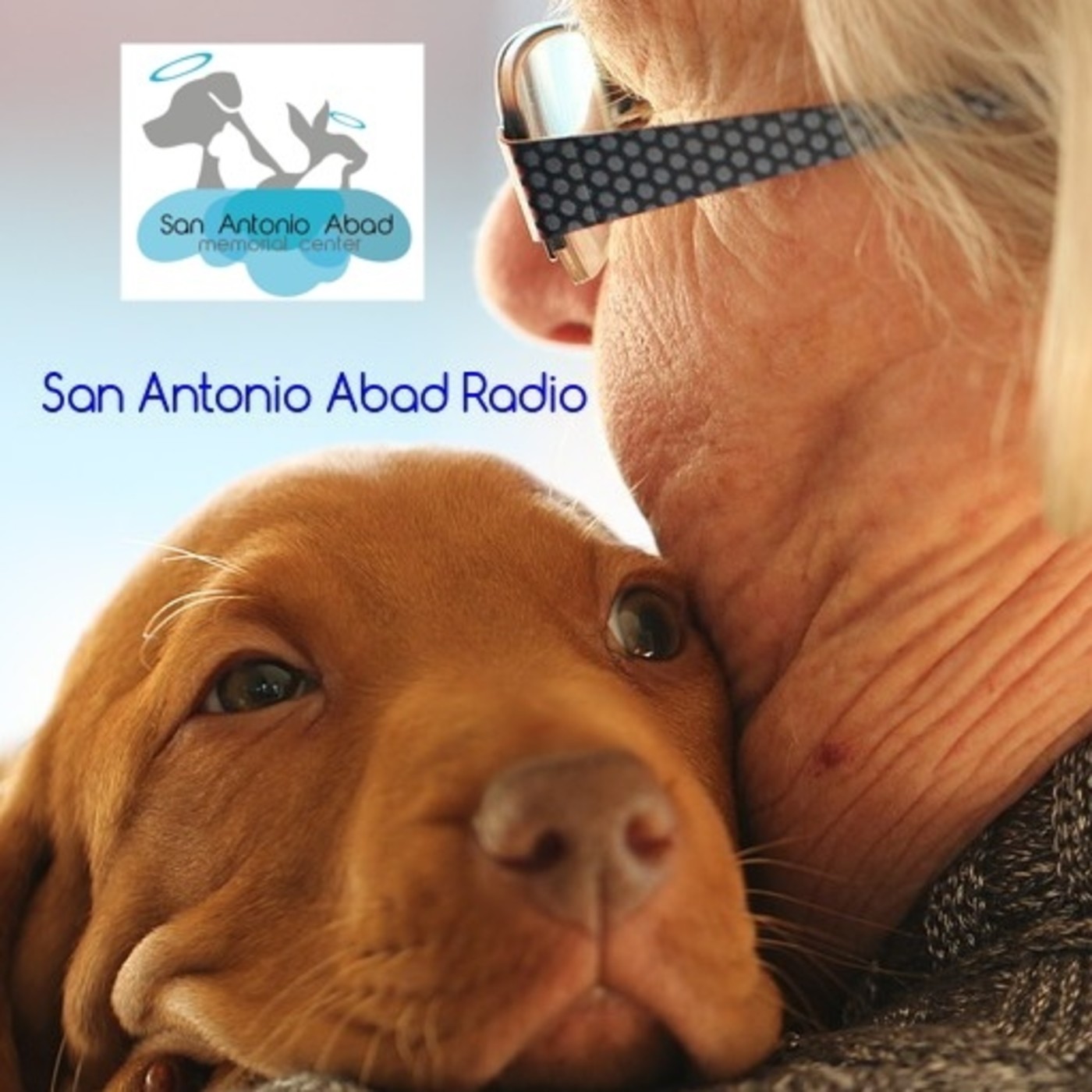 Terapia con animales en la tercera edad episode artwork