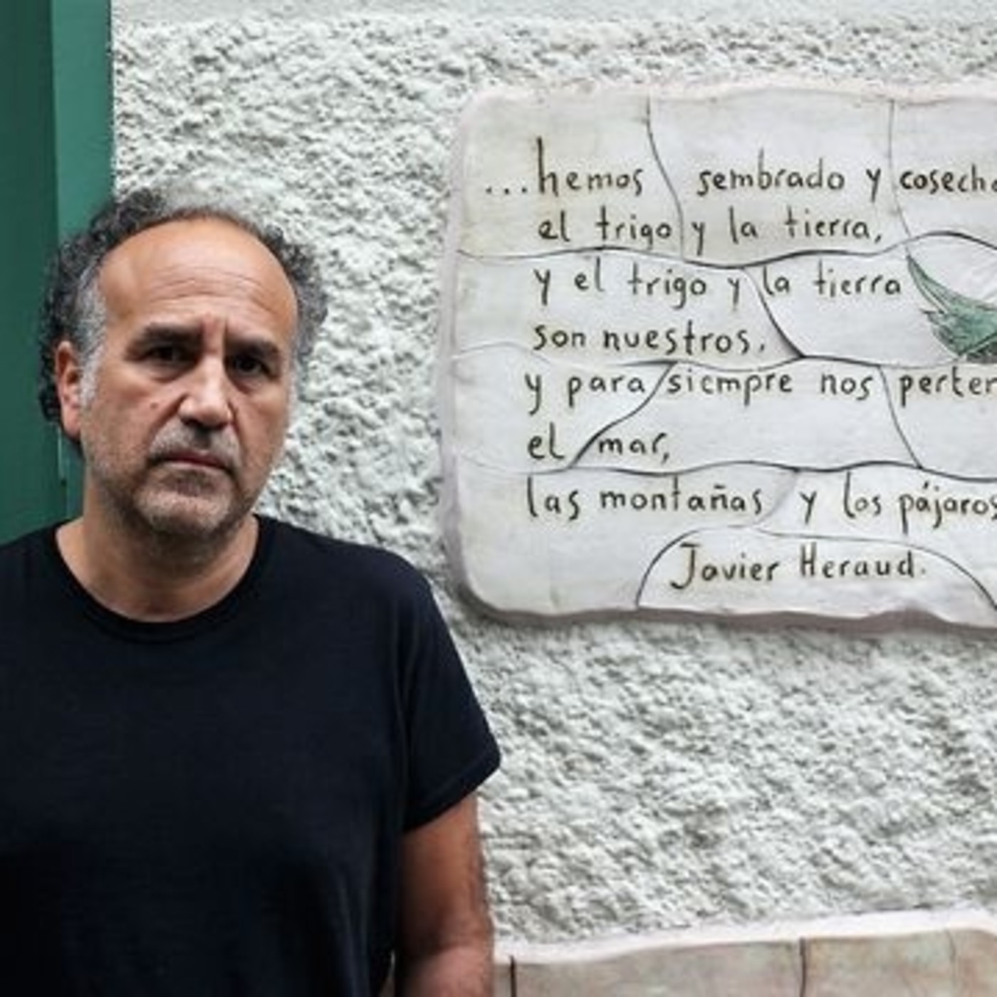 16 Novenos - La frecuencia del cine