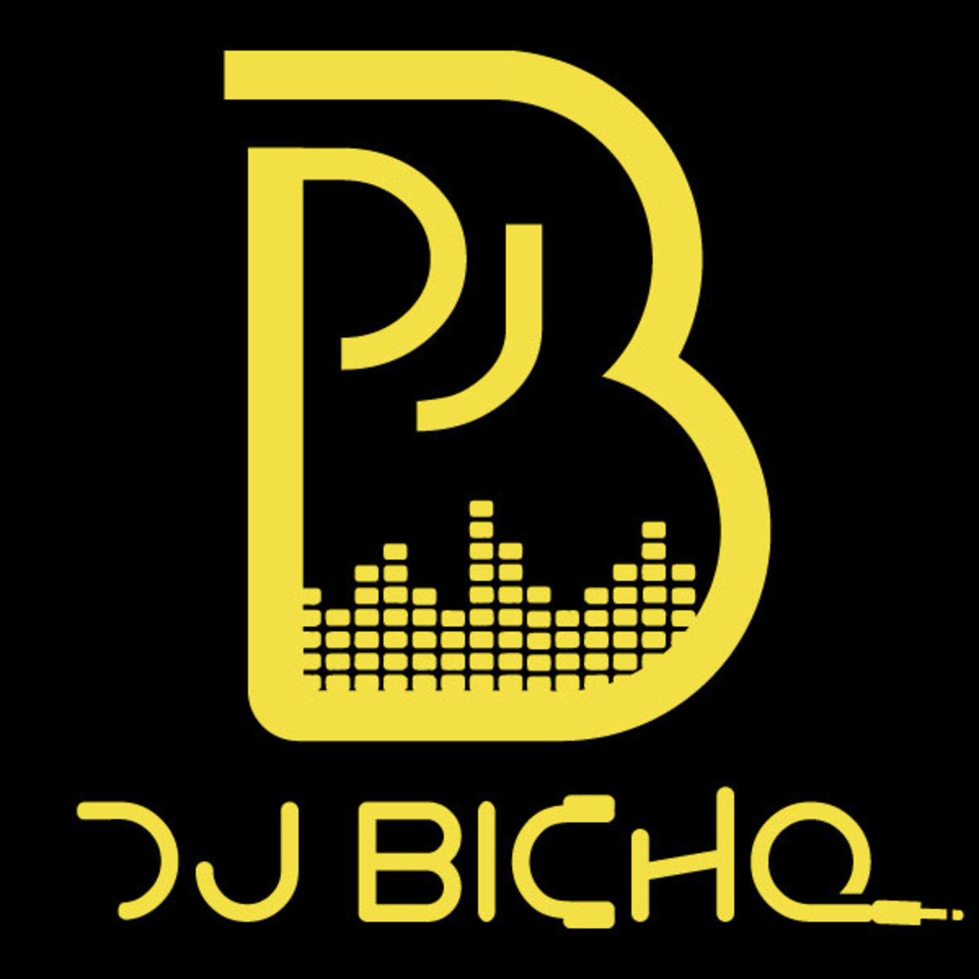 Dj Bicho