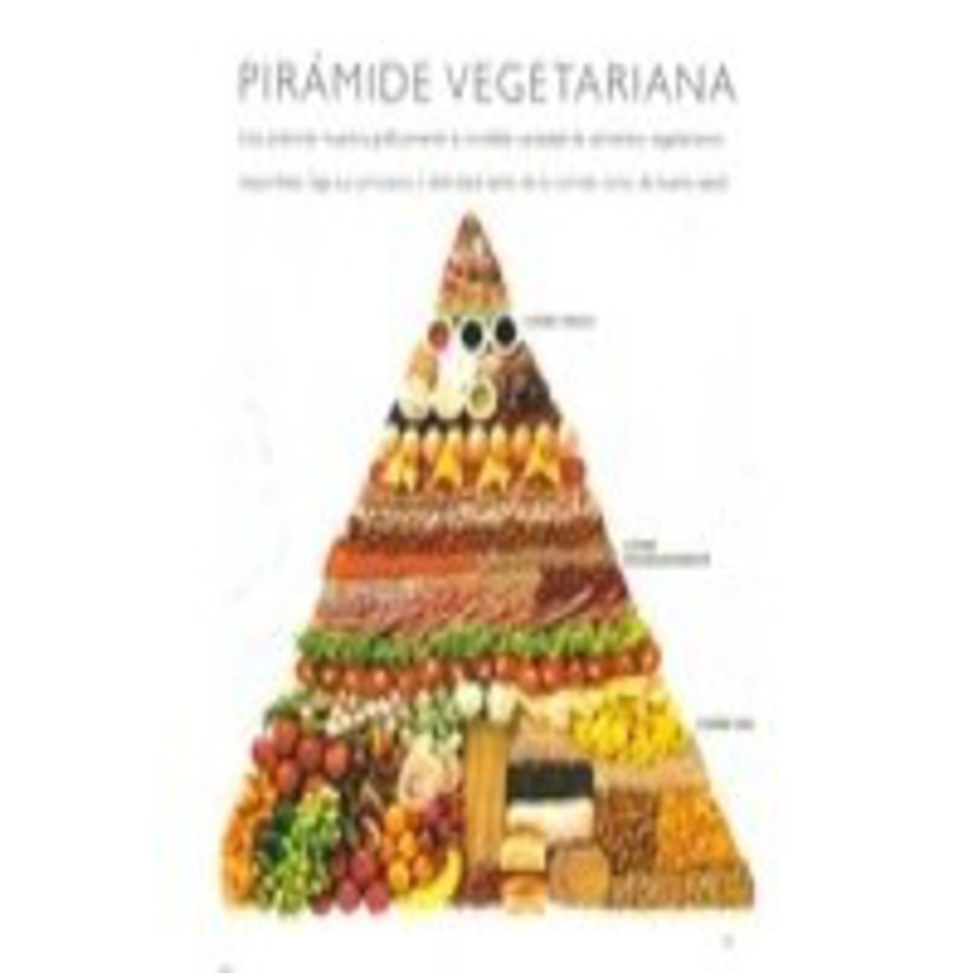 2011-13-INTRODUCCIÓN A LA ALIMENTACIÓN VEGETARIANA
