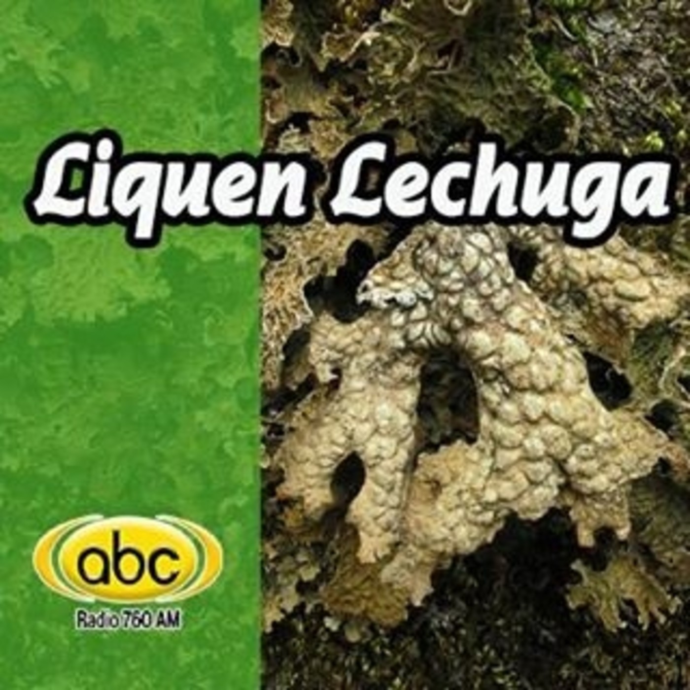El Ángel de tu salud - LIQUEN LECHUGA episode artwork