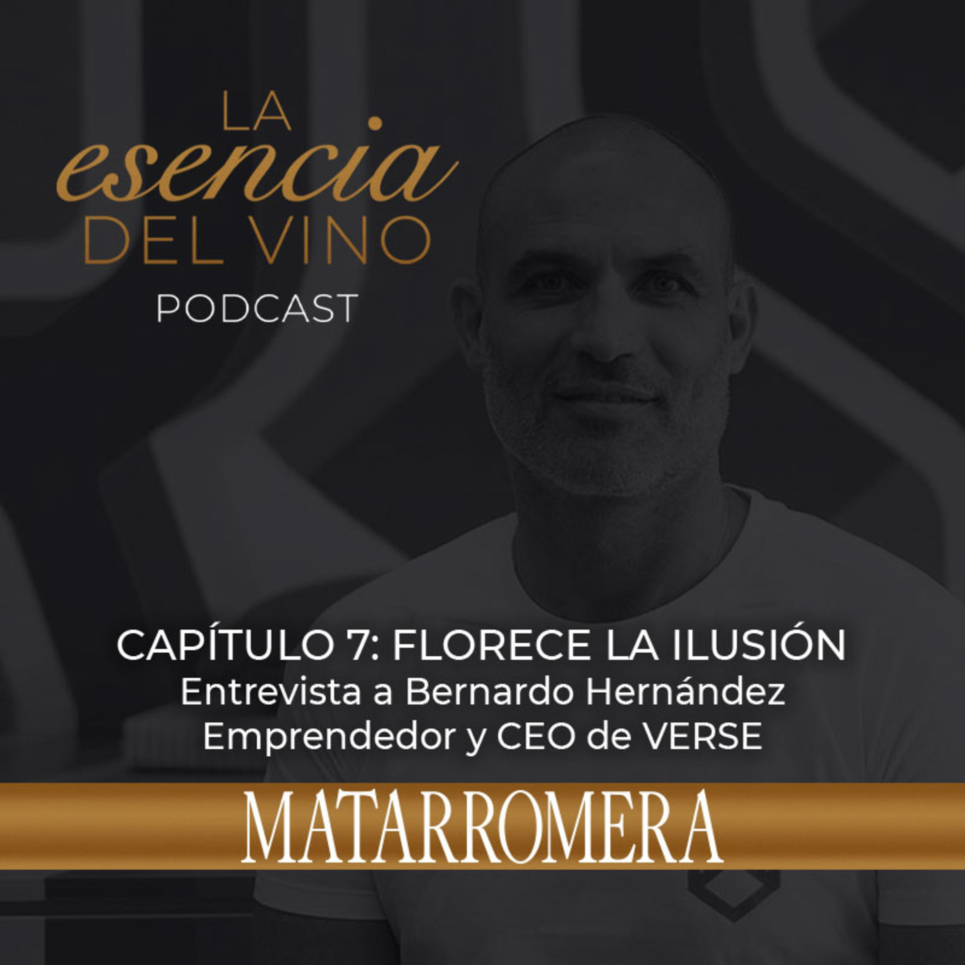 La Esencia del Vino - MATARROMERA