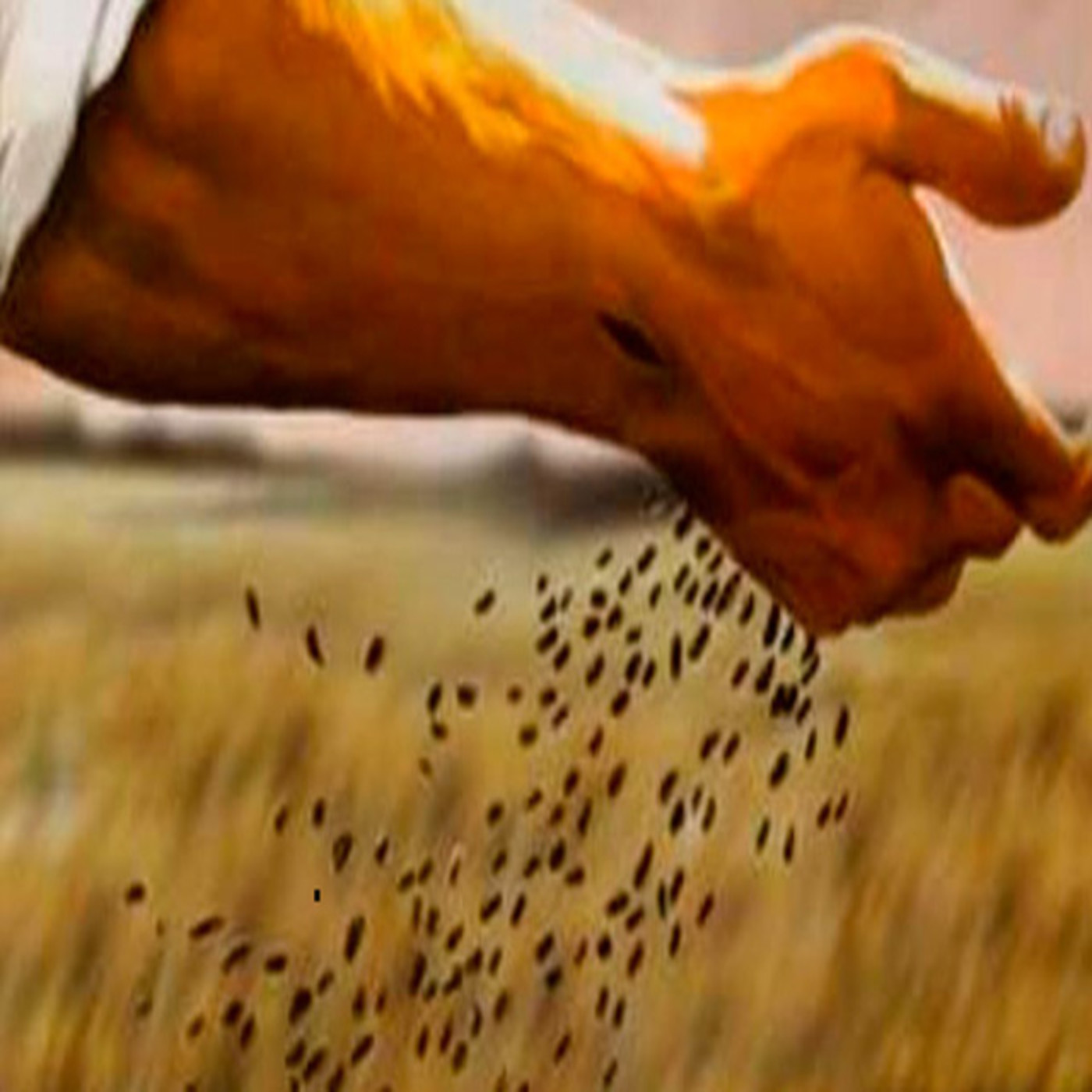 Palabra y Vida: Radio María Oficial