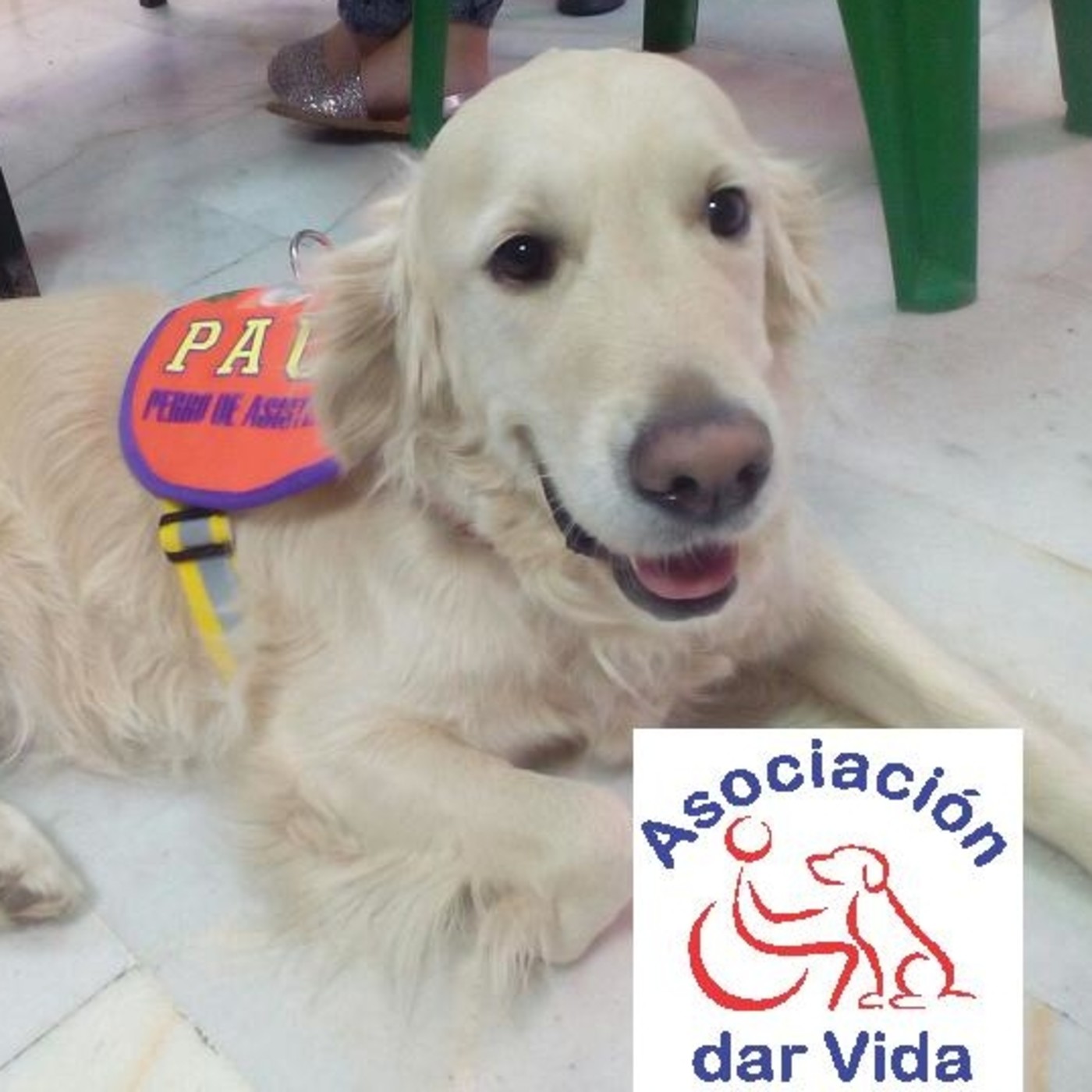 Podcast de ALIQUA ASOCIACIÓN SOCIAL Y CUL