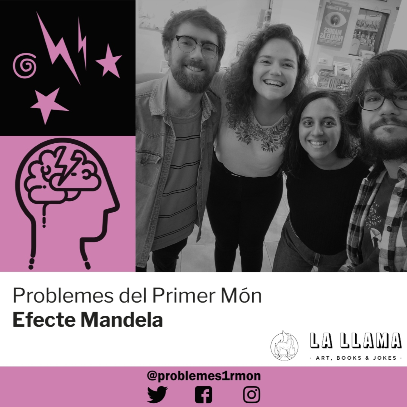 Problemes del Primer Món