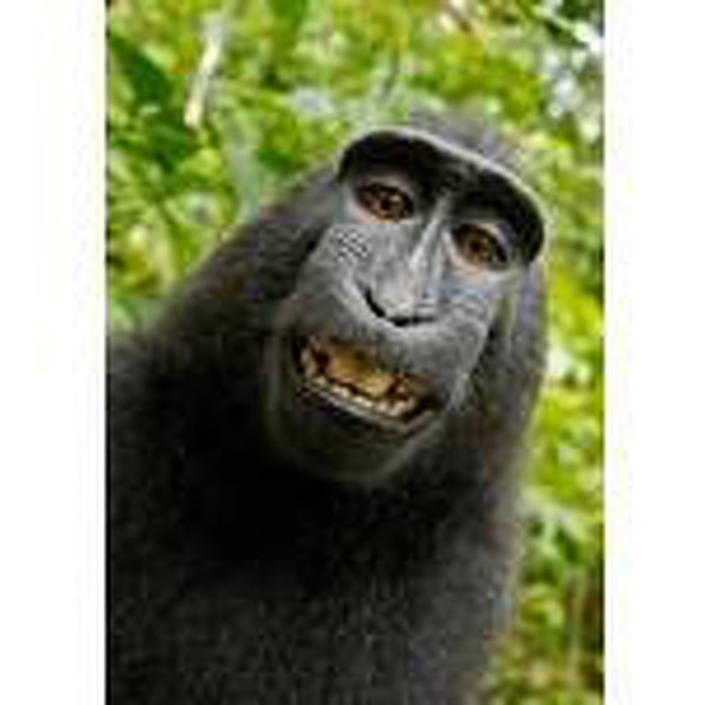 Programa del 09 de agosto de 2014