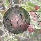 El Ángel de tu Salud - ASPARTATO CON ZARZAPARRILLA
