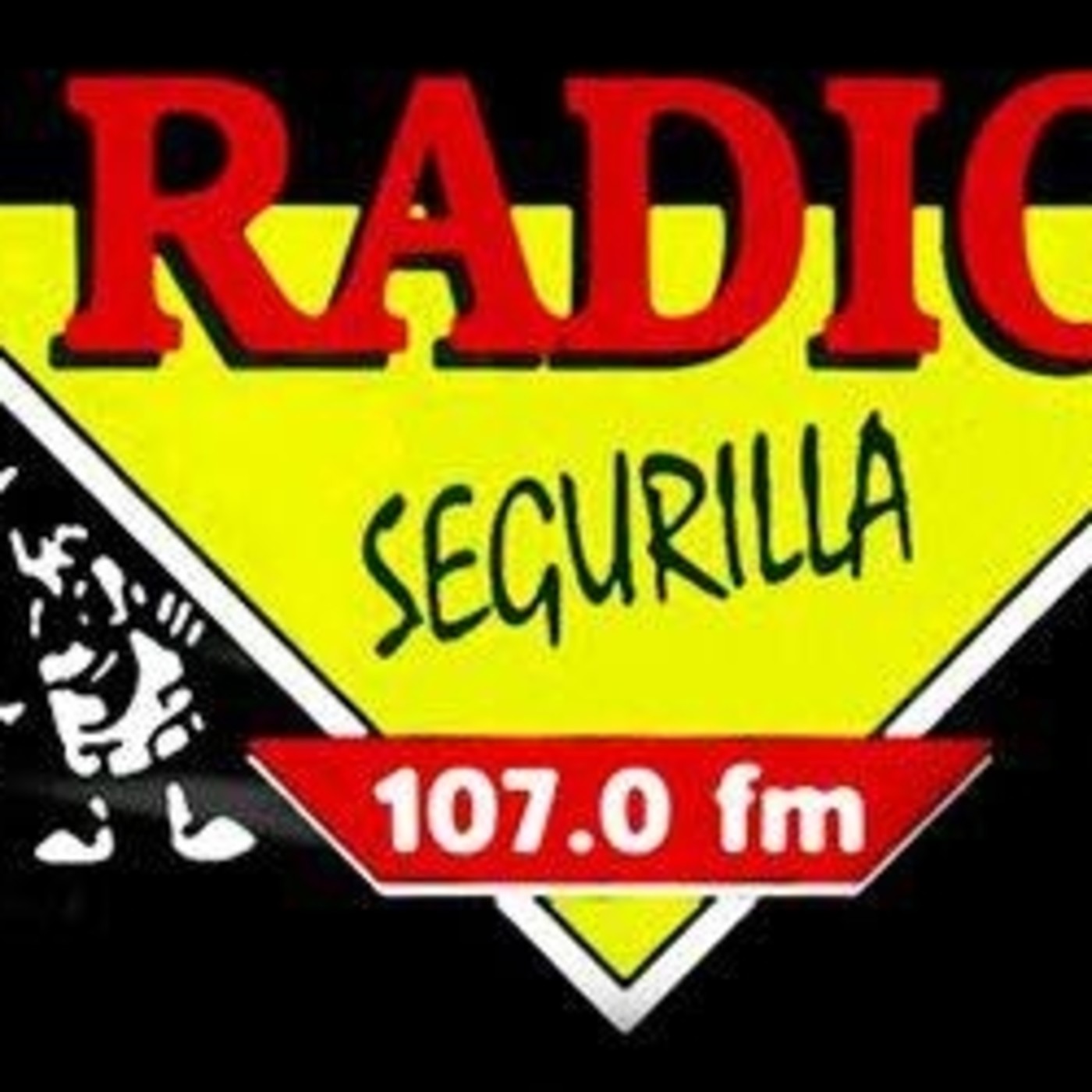 RETRANSMISIONES DEPORTIVAS