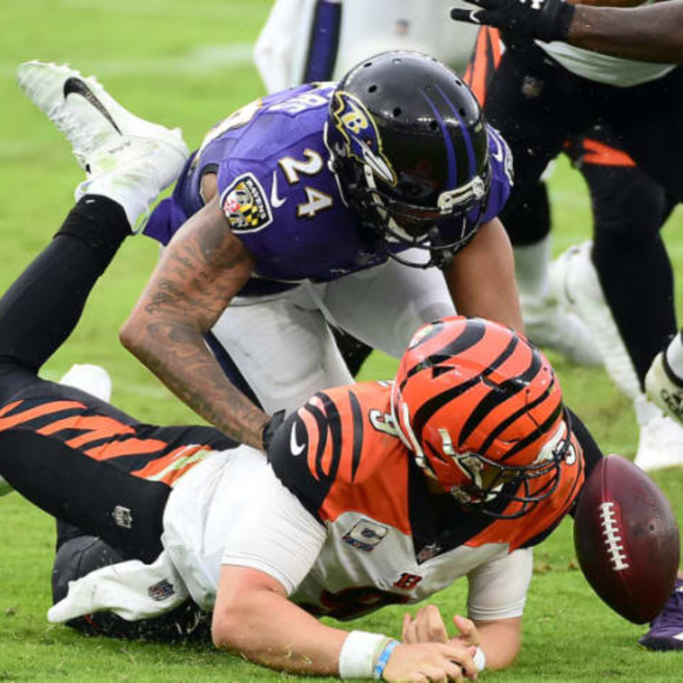 La Jungla Hispana - Bengals.es