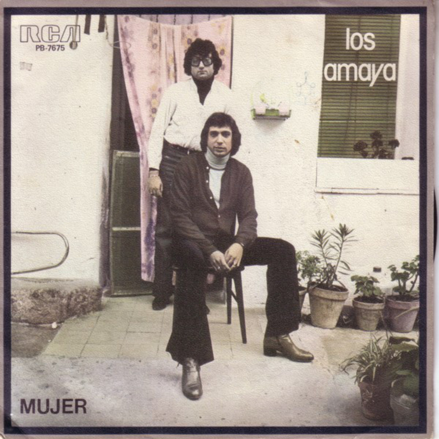 Vinyl collection Pop