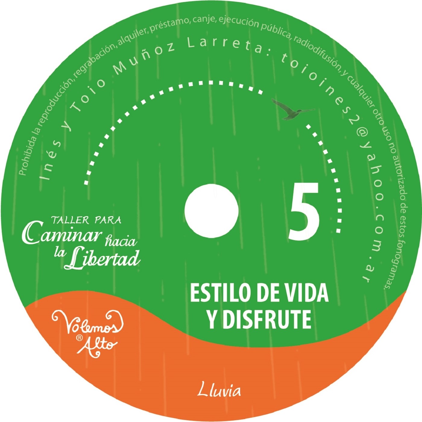 Taller para Caminar hacia la Libertad: 4 Áreas de