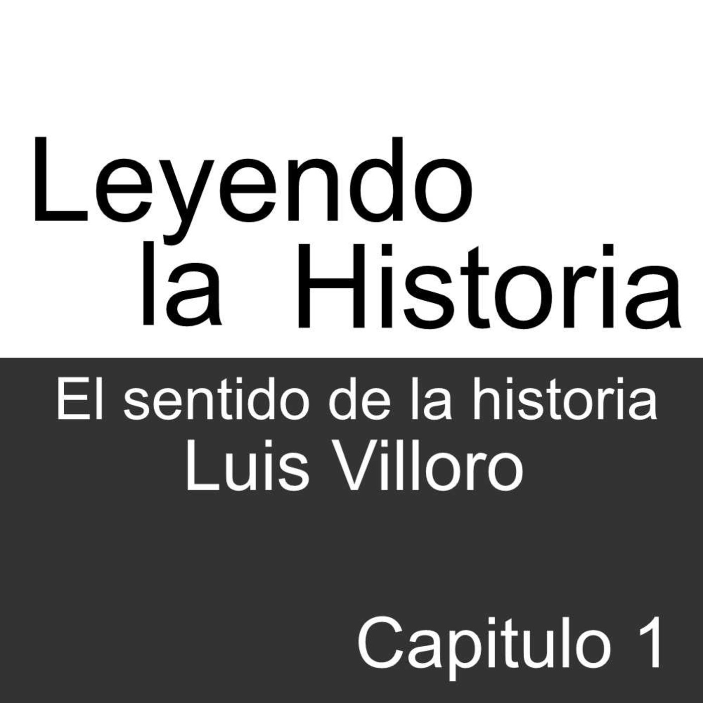 Leyendo la Historia