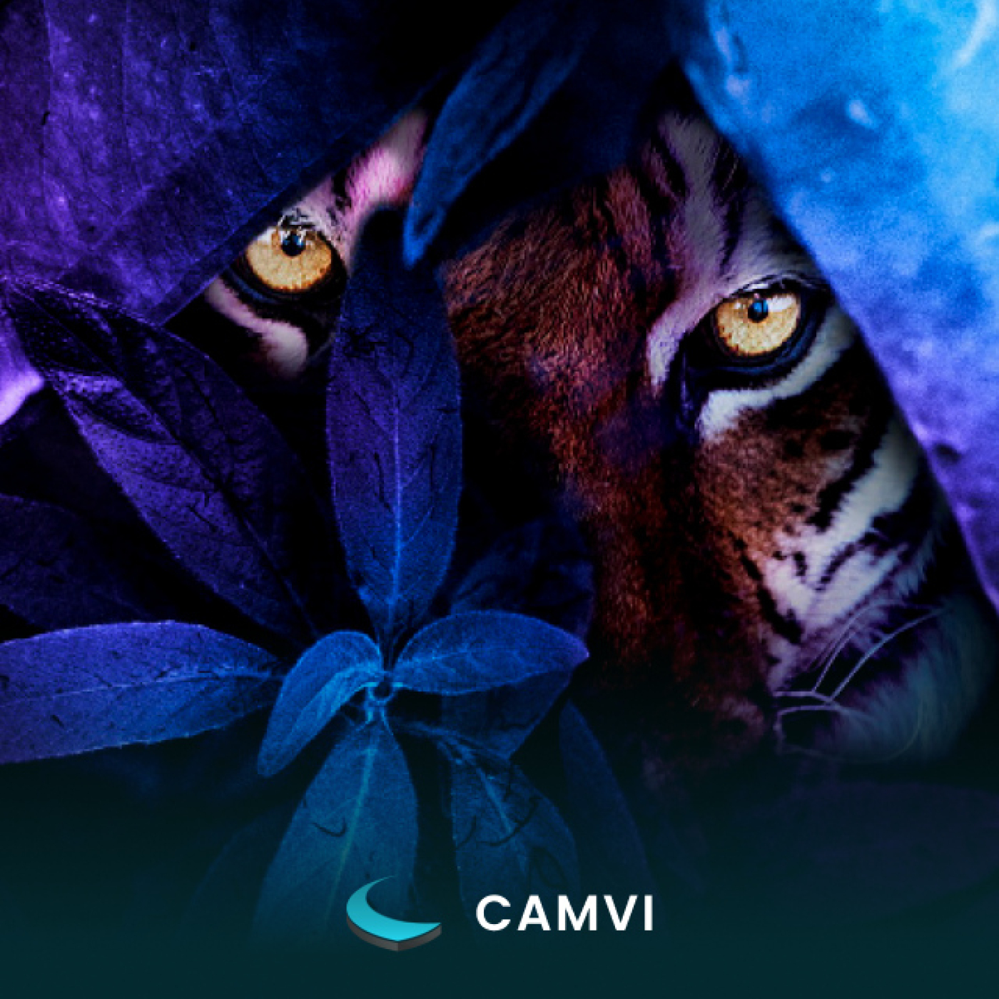 CAMVI