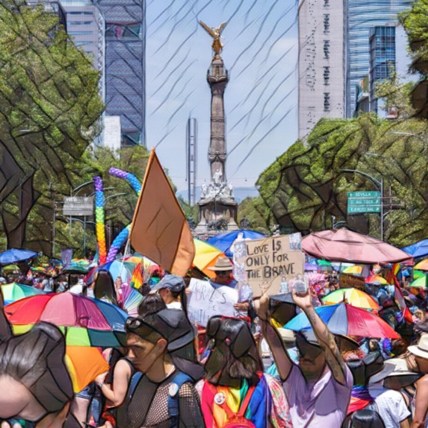Variopinto69 Programa