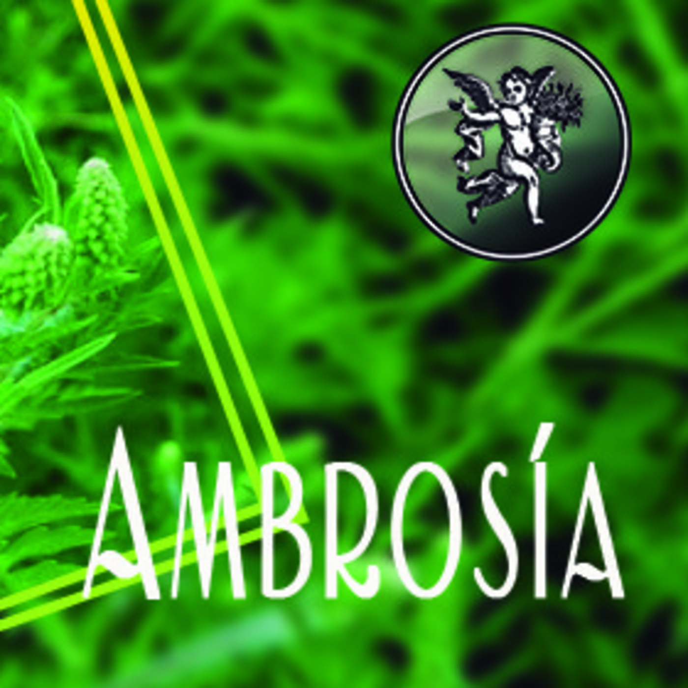 El Ángel de tu salud - AMBROSÍA 2 episode artwork