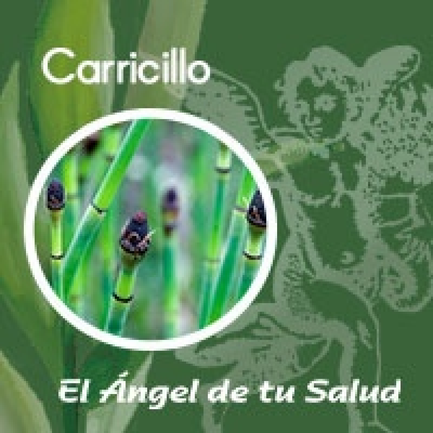 El Ángel de tu Salud - Carricillo**