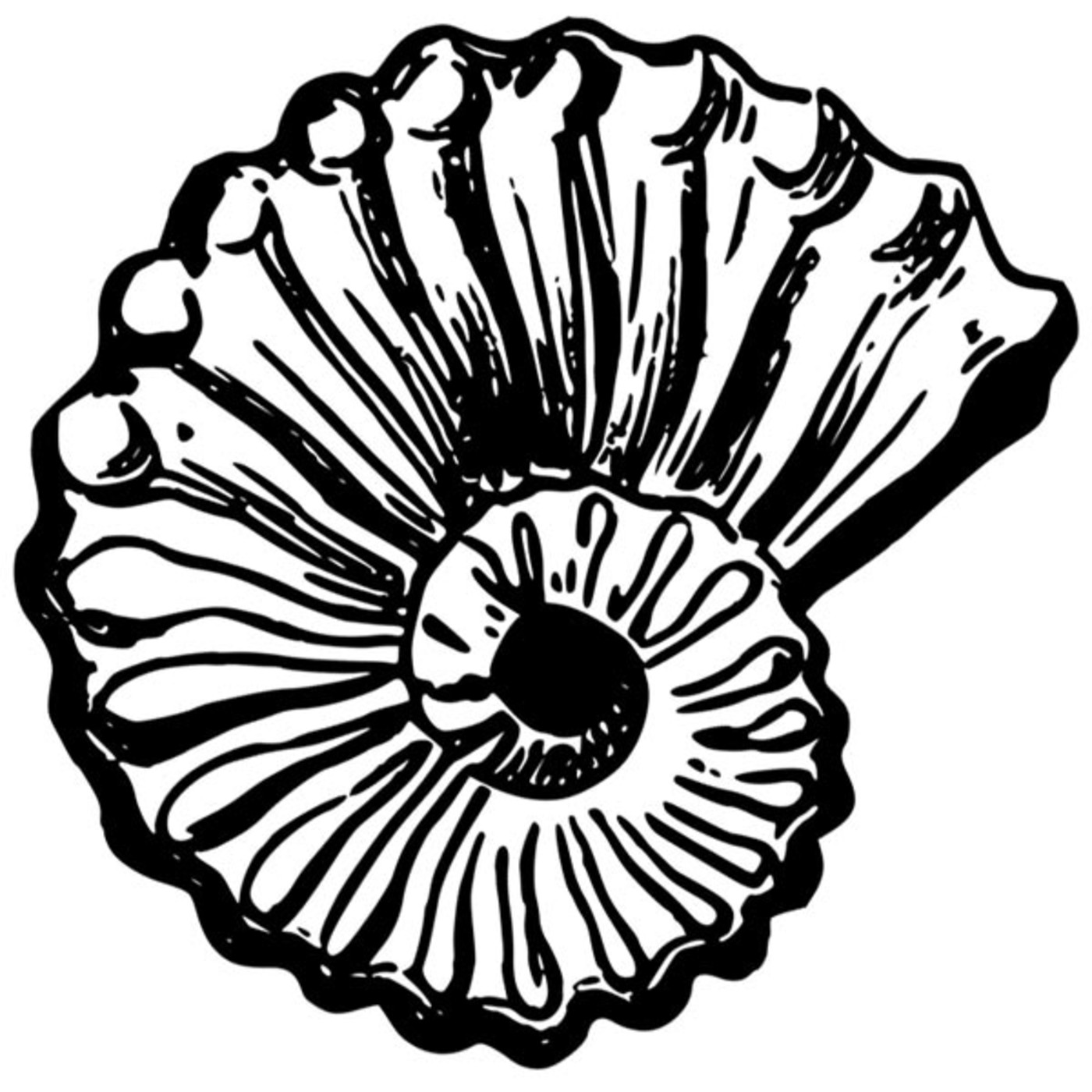 RadioValis