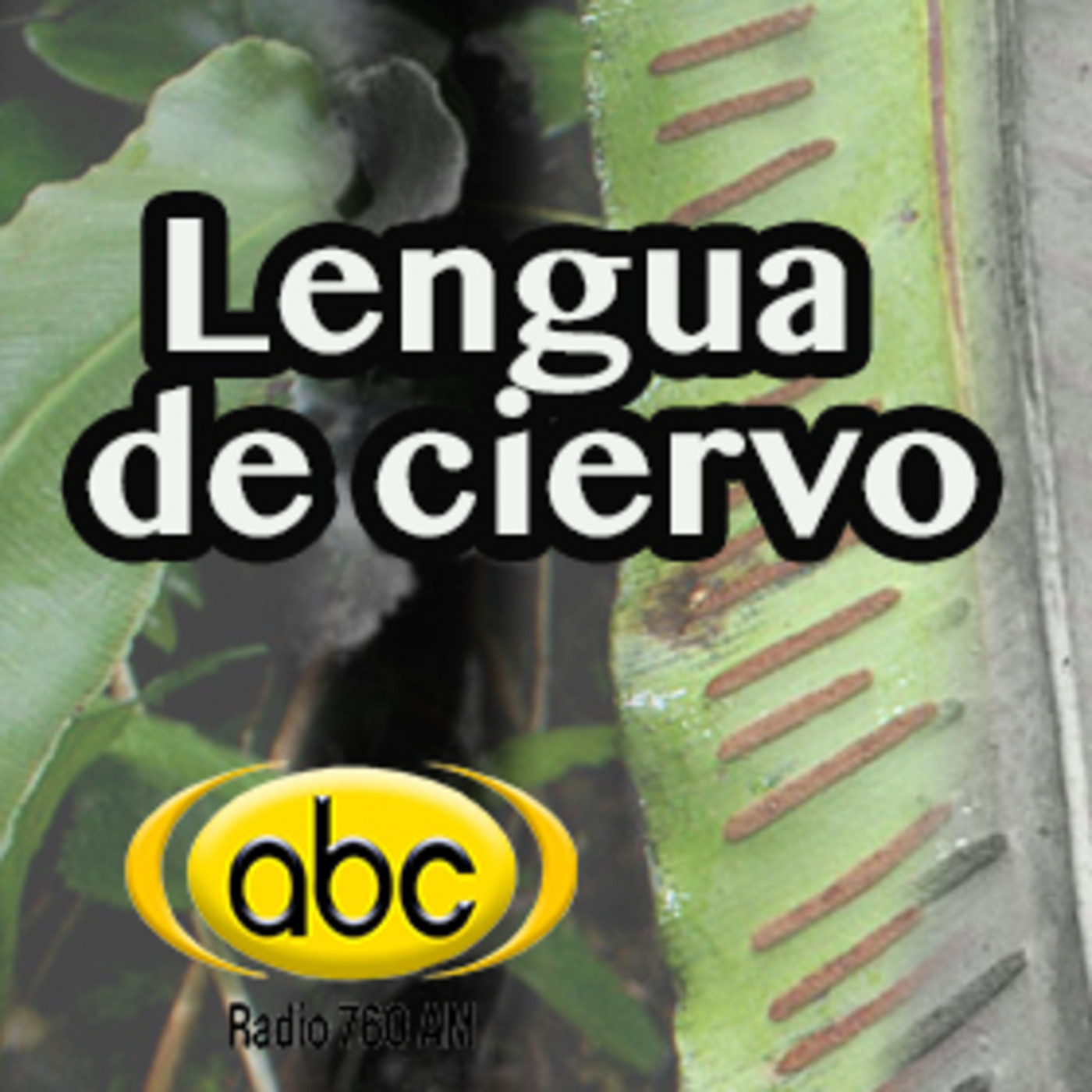 El Ángel de tu Salud - LENGUA DE CIERVO episode artwork