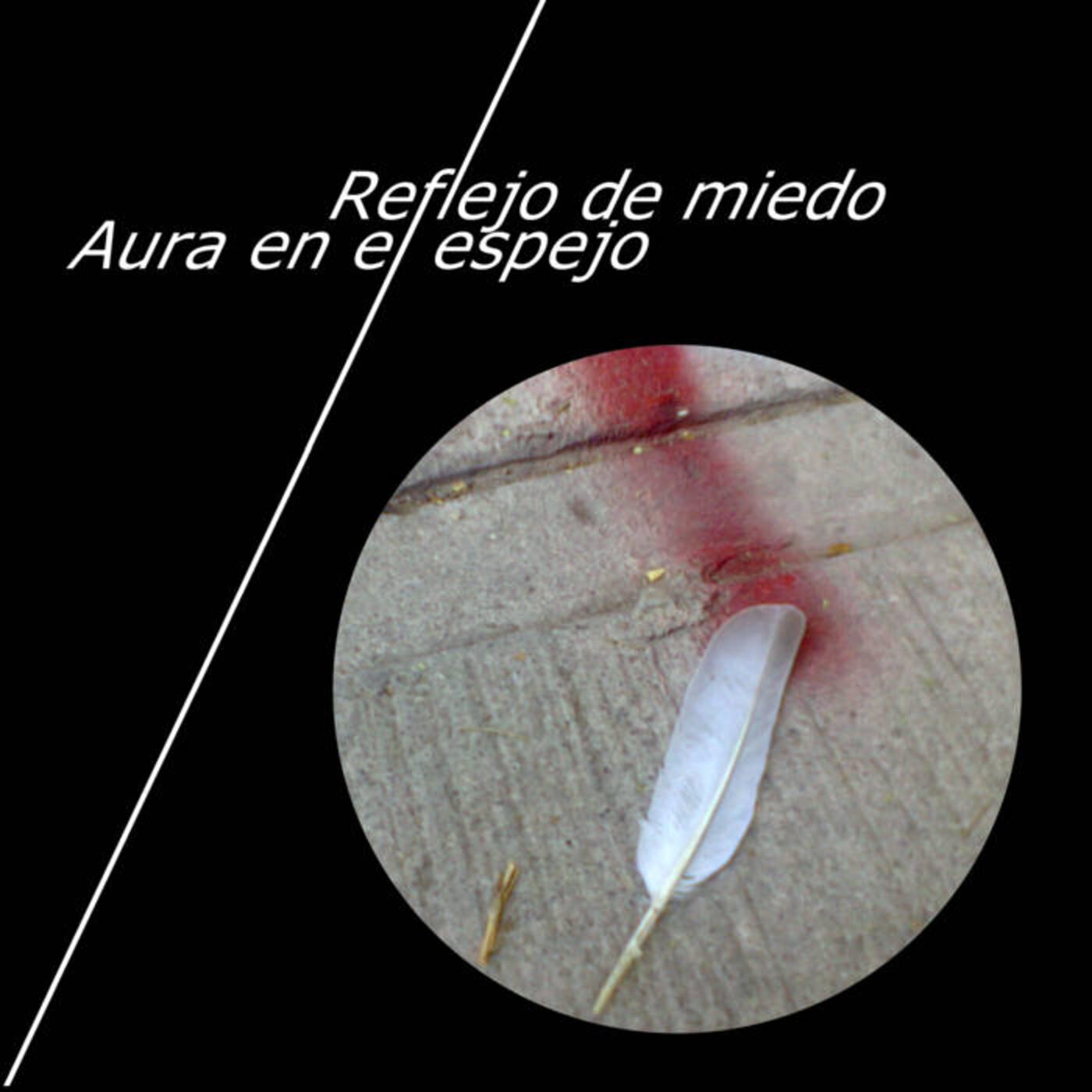 Música para leer