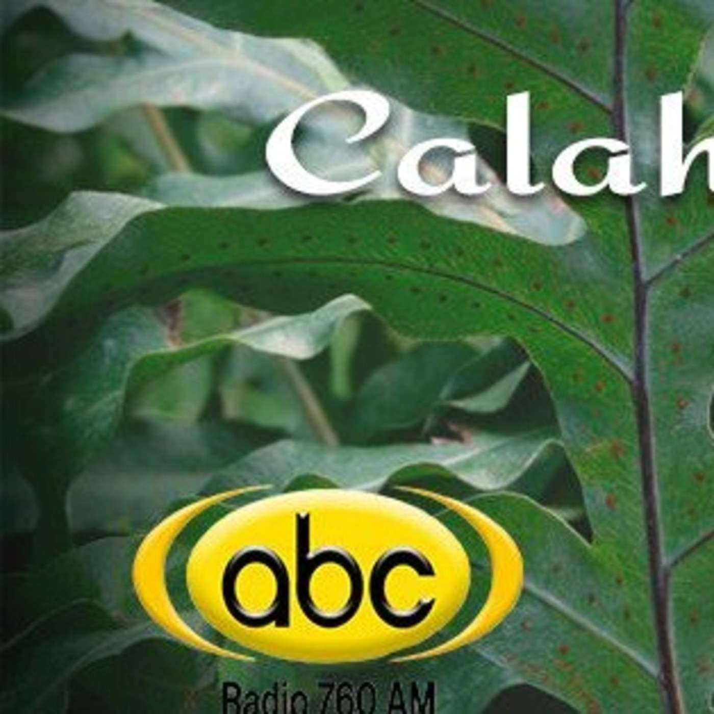 El Angel de tu Salud - CALAHUALA episode artwork