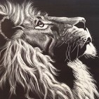 embed image