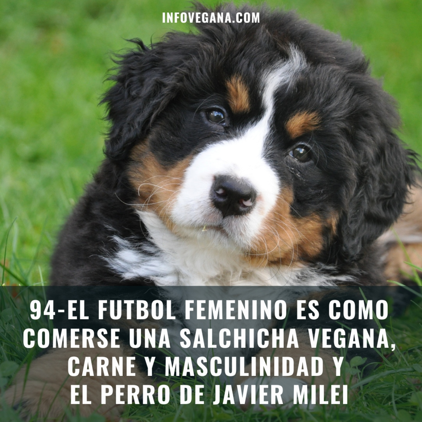 Infovegana, podcast de veganismo y sostenibilidad