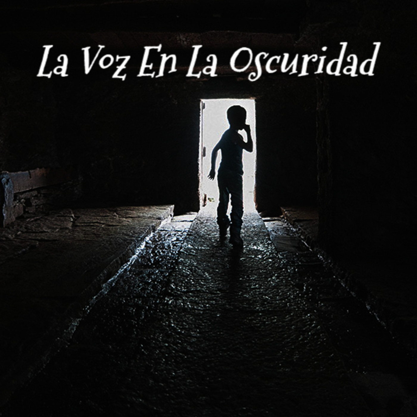 La Voz en la Oscuridad