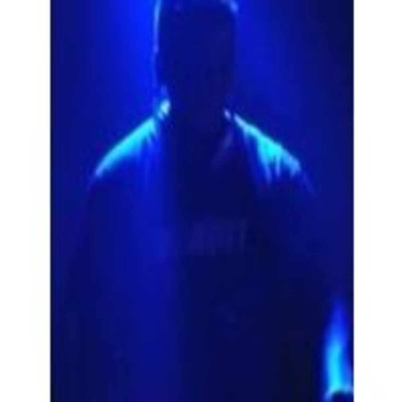 Podcast de Capitan John