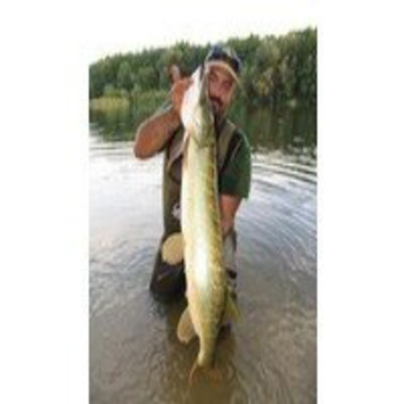 Podcast DIAL DE PESCA