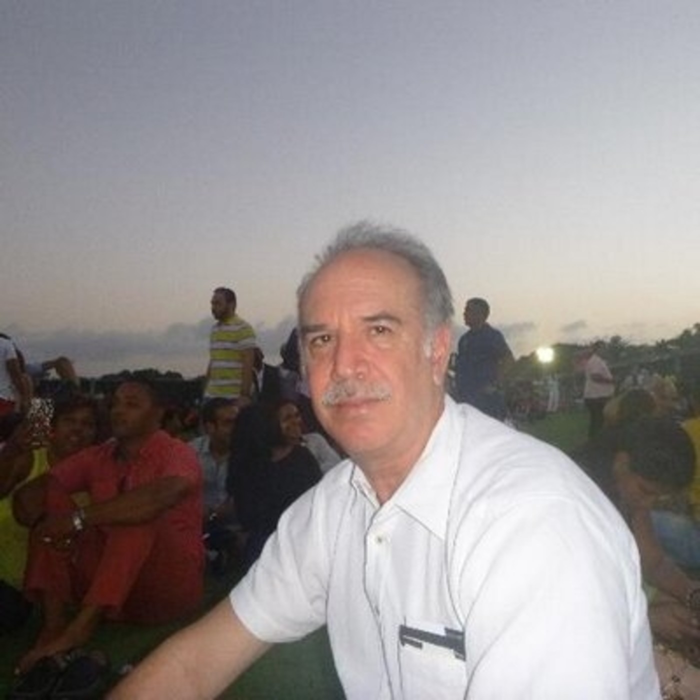 El Enjambre
