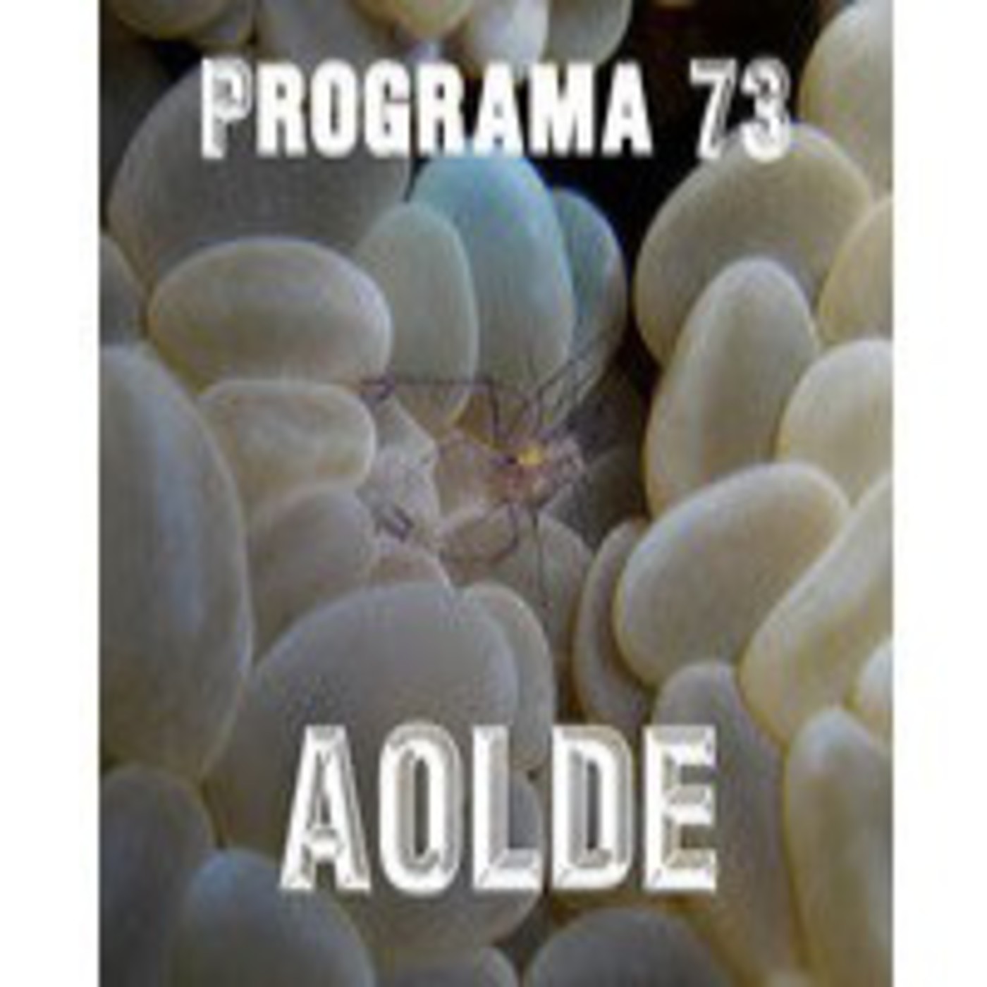 Podcast Al otro lado del espejo
