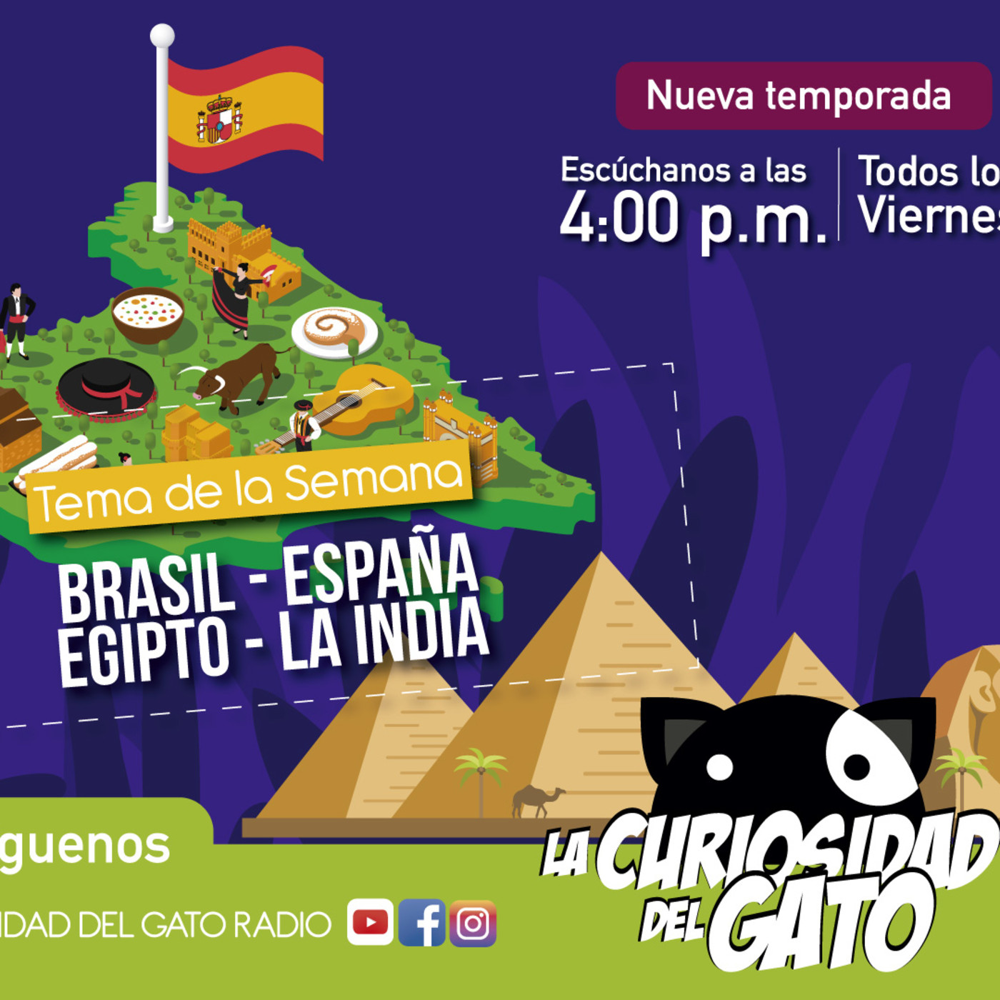 La Curiosidad del Gato